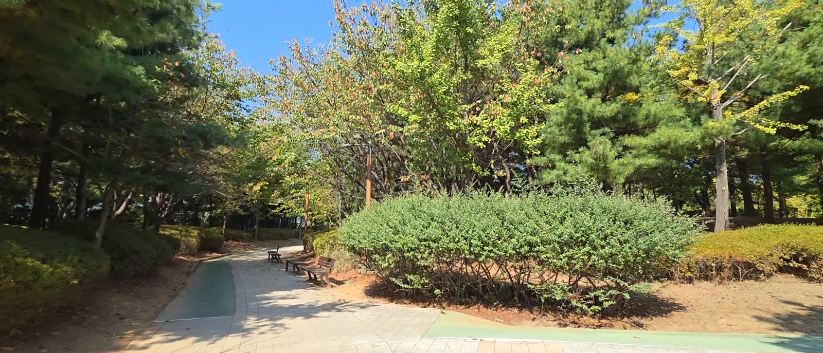 Walking path