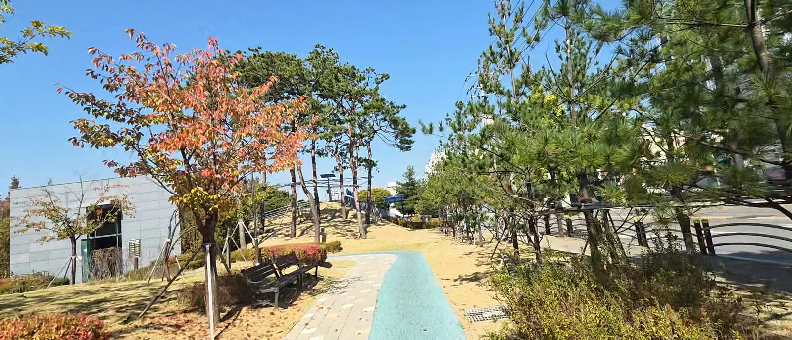 Autumn-leaf path